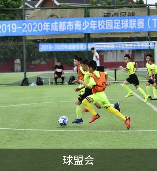 关于球盟会